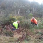 getting the bird habitat ready point 4 and 5-web