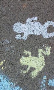 Vincent St Frogs, Artober 2016