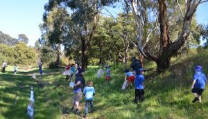 grass sweeping for small creatures