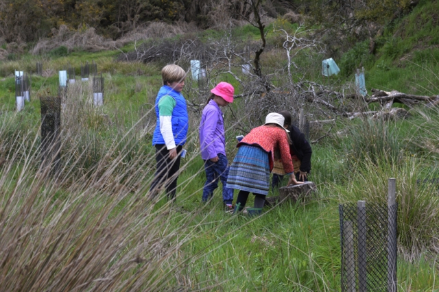 Children searching for hiding frogs on Cornish Hill