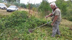 Blackberry demolition