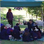 Bird Identification session